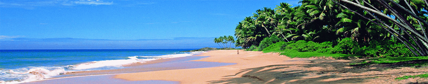 MY VACATION HOLIDAYS